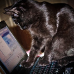 Labākās bezmaksas Microsoft Office alternatīvas 2019 gadā!, Mārtiņ&scaron; Doniņ&scaron;